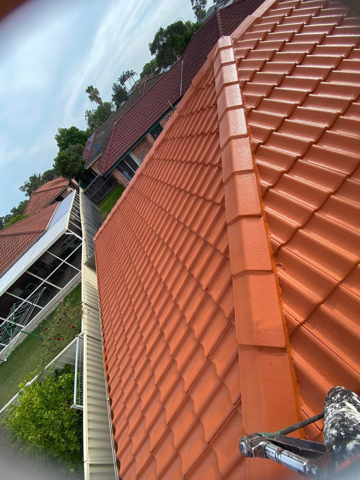 Roof Painting