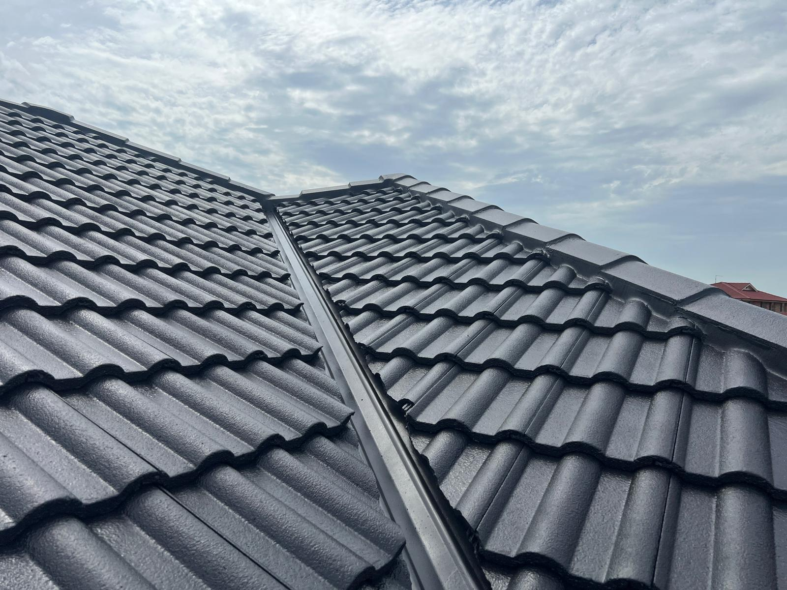 Gutter Cleaning & Painting