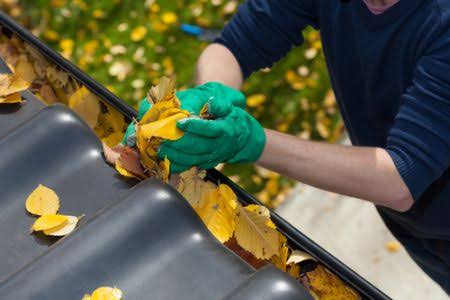 Gutter Cleaning & Painting